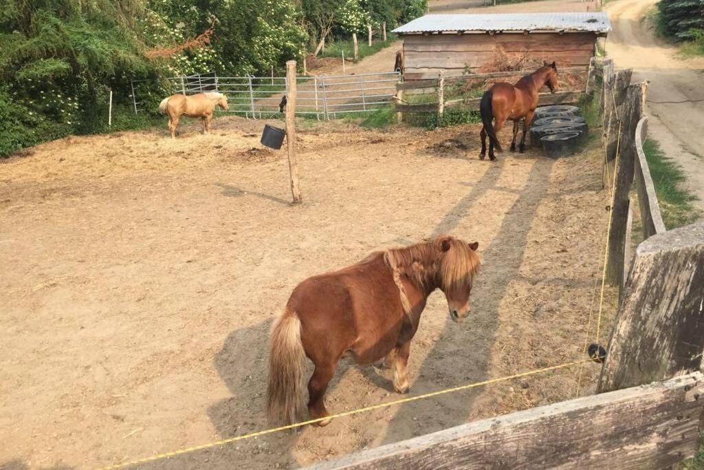 Ferienwohnung In Peetzig Am See Angermunde Eksteriør billede